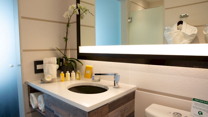 A bathroom sink with a large mirror, towels, toiletries, and a toilet in the background.