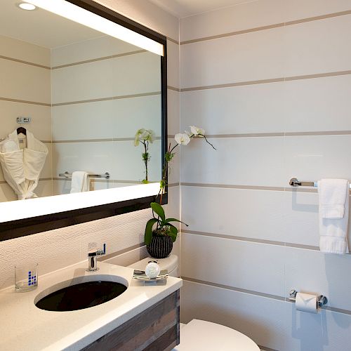 The image shows a modern bathroom with a large mirror, a sink with toiletries, a towel rack, a robe, and an orchid plant on the countertop.