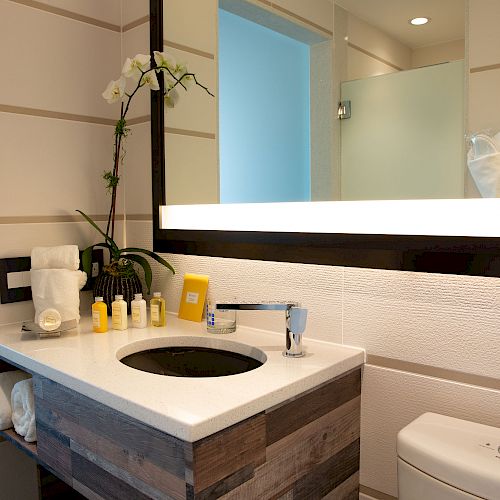 The image shows a clean, modern bathroom with a sink, mirror, toiletries, a plant, towels, a toilet, and a door leading to a shower.