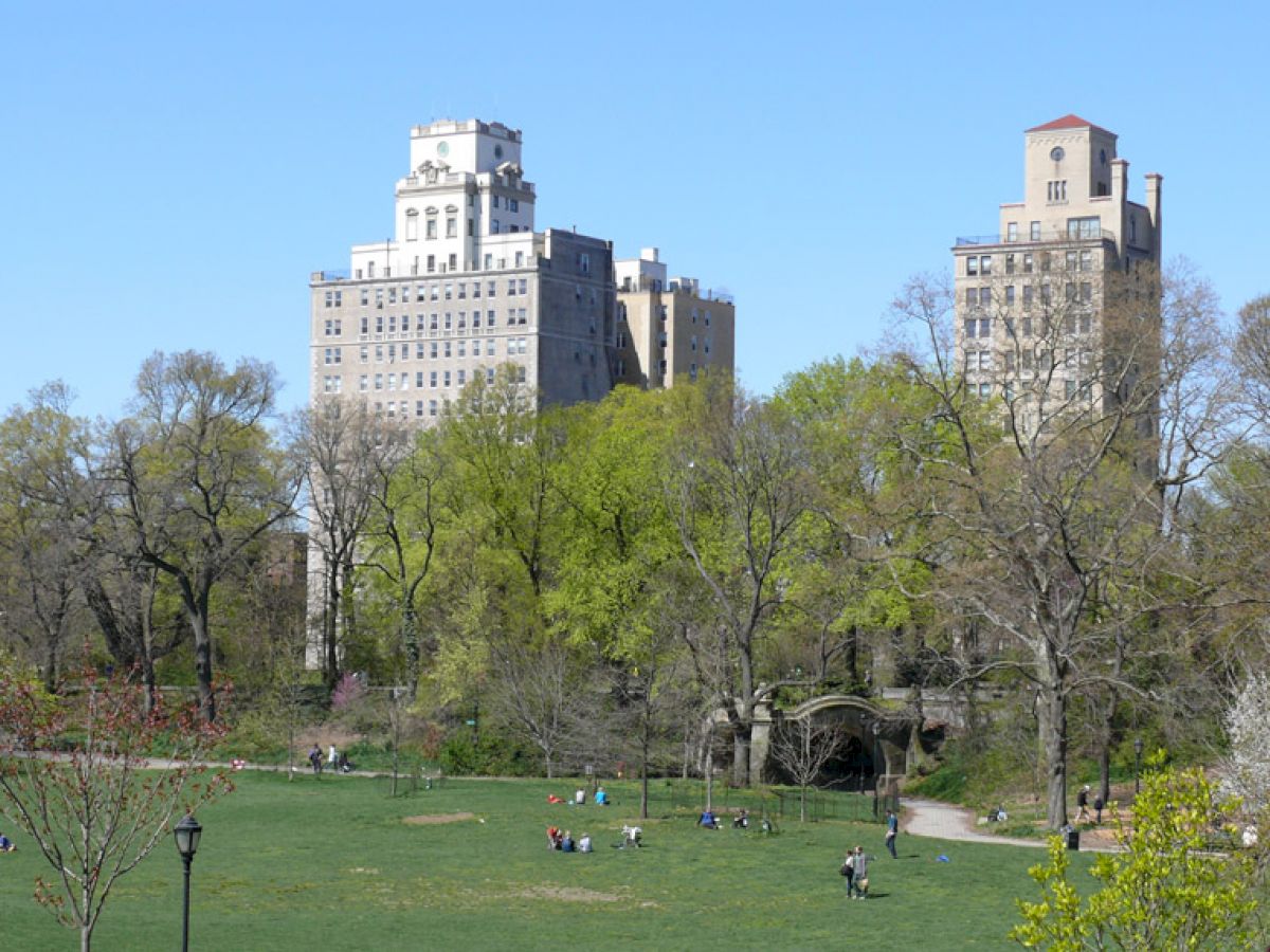 A park with green lawns, scattered people, and tall buildings framed by trees under a clear blue sky is depicted in this image.